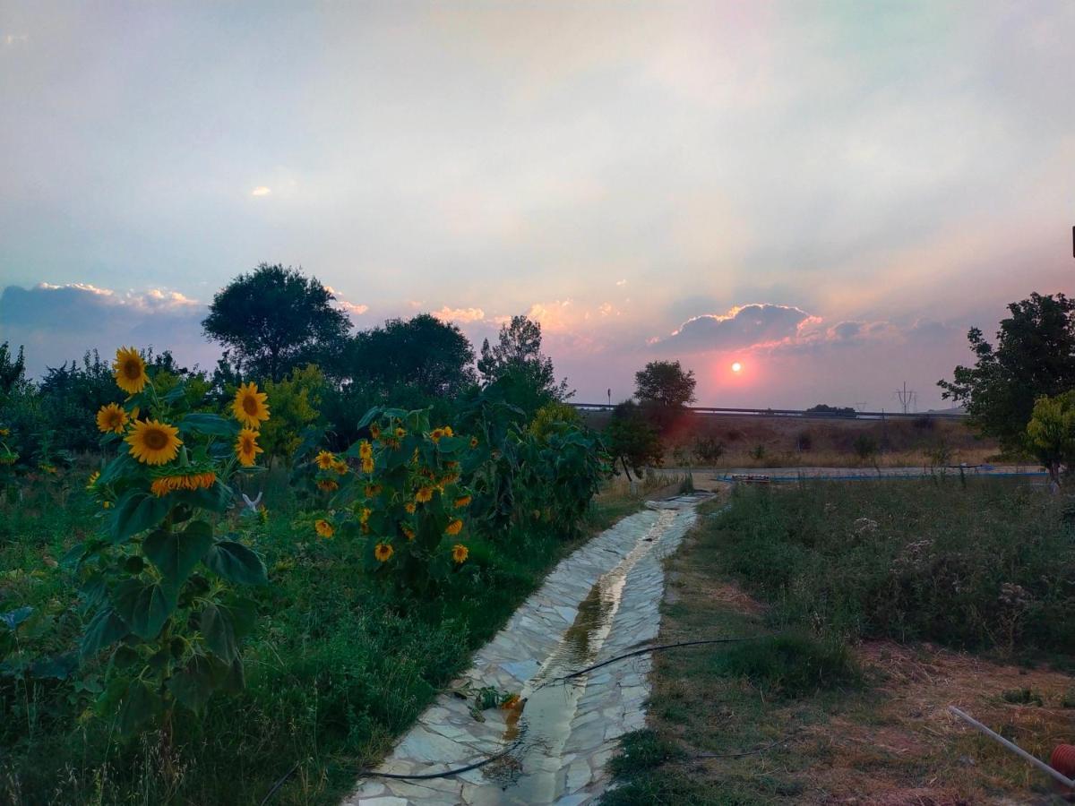 Apartmán Era 124 Zafra de Záncara Exteriér fotografie