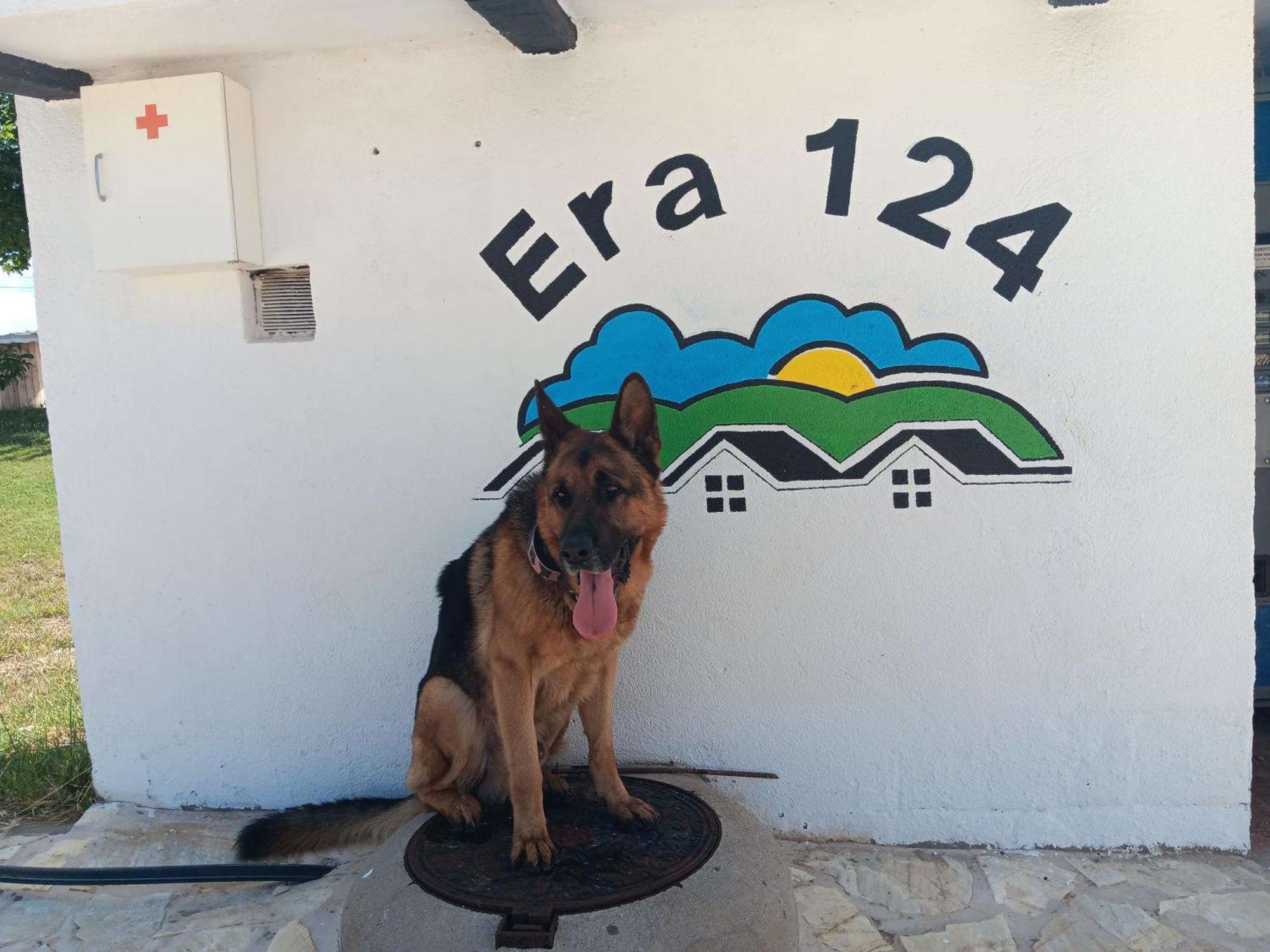 Apartmán Era 124 Zafra de Záncara Exteriér fotografie