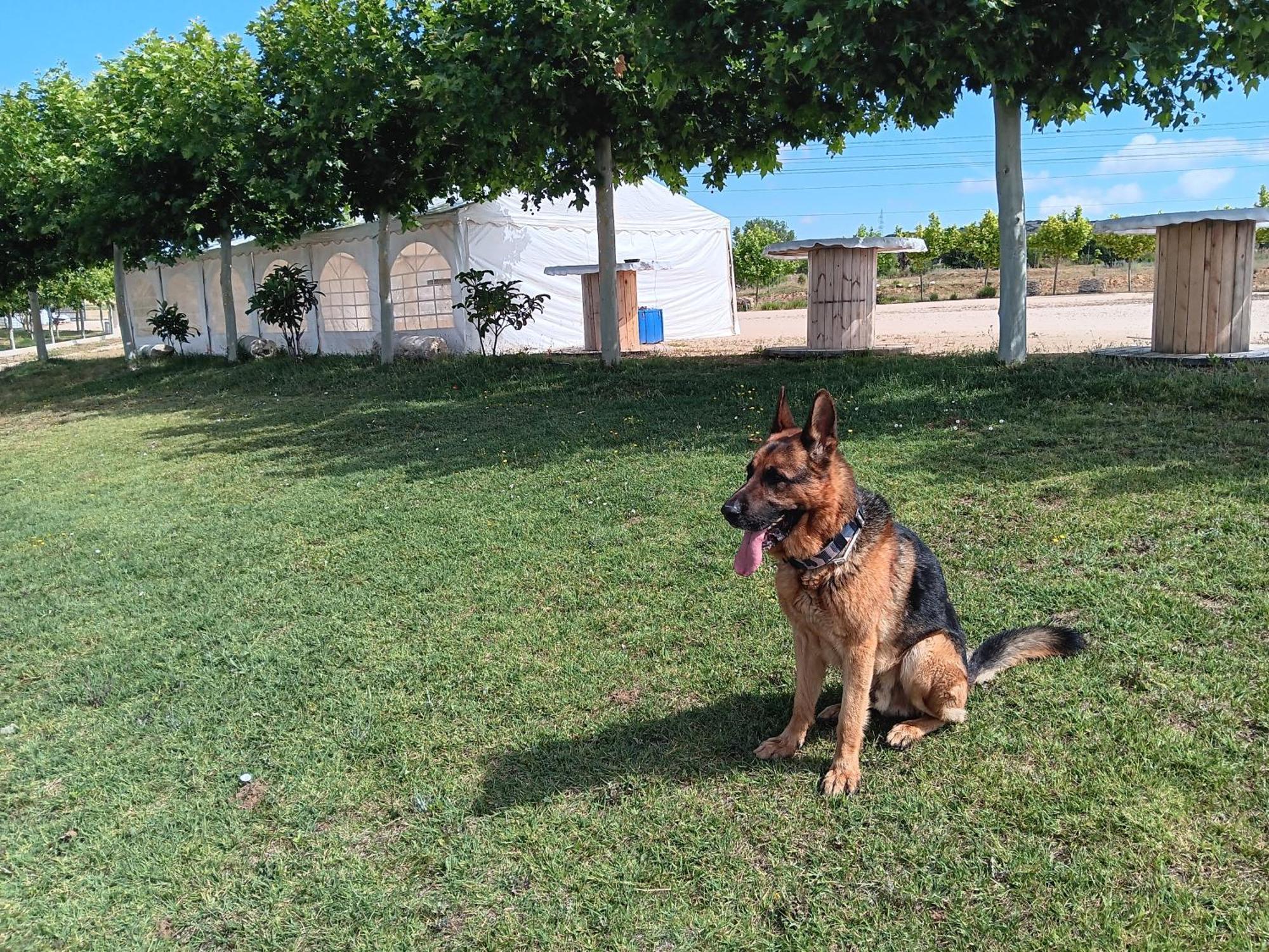 Apartmán Era 124 Zafra de Záncara Exteriér fotografie