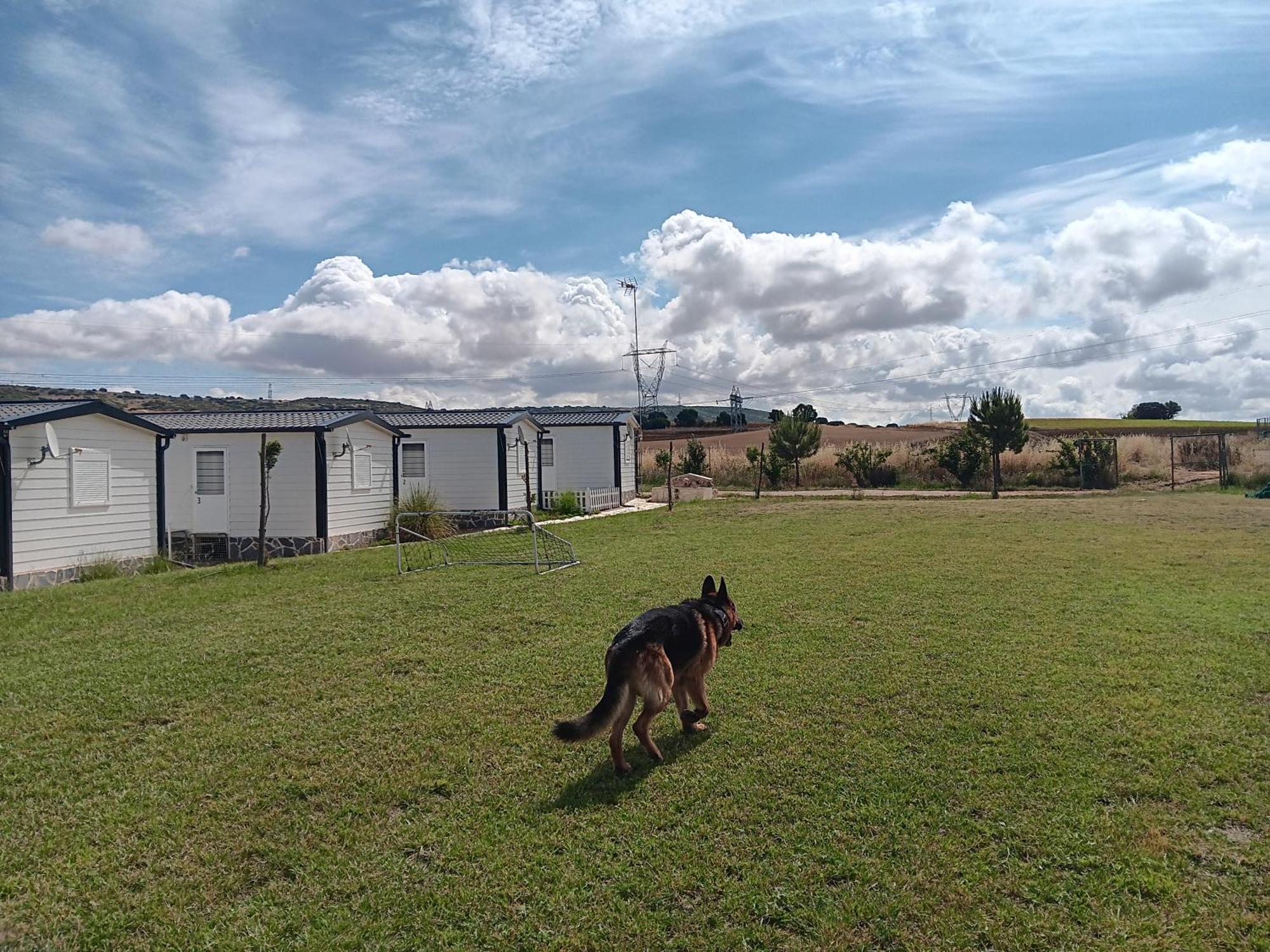 Apartmán Era 124 Zafra de Záncara Exteriér fotografie