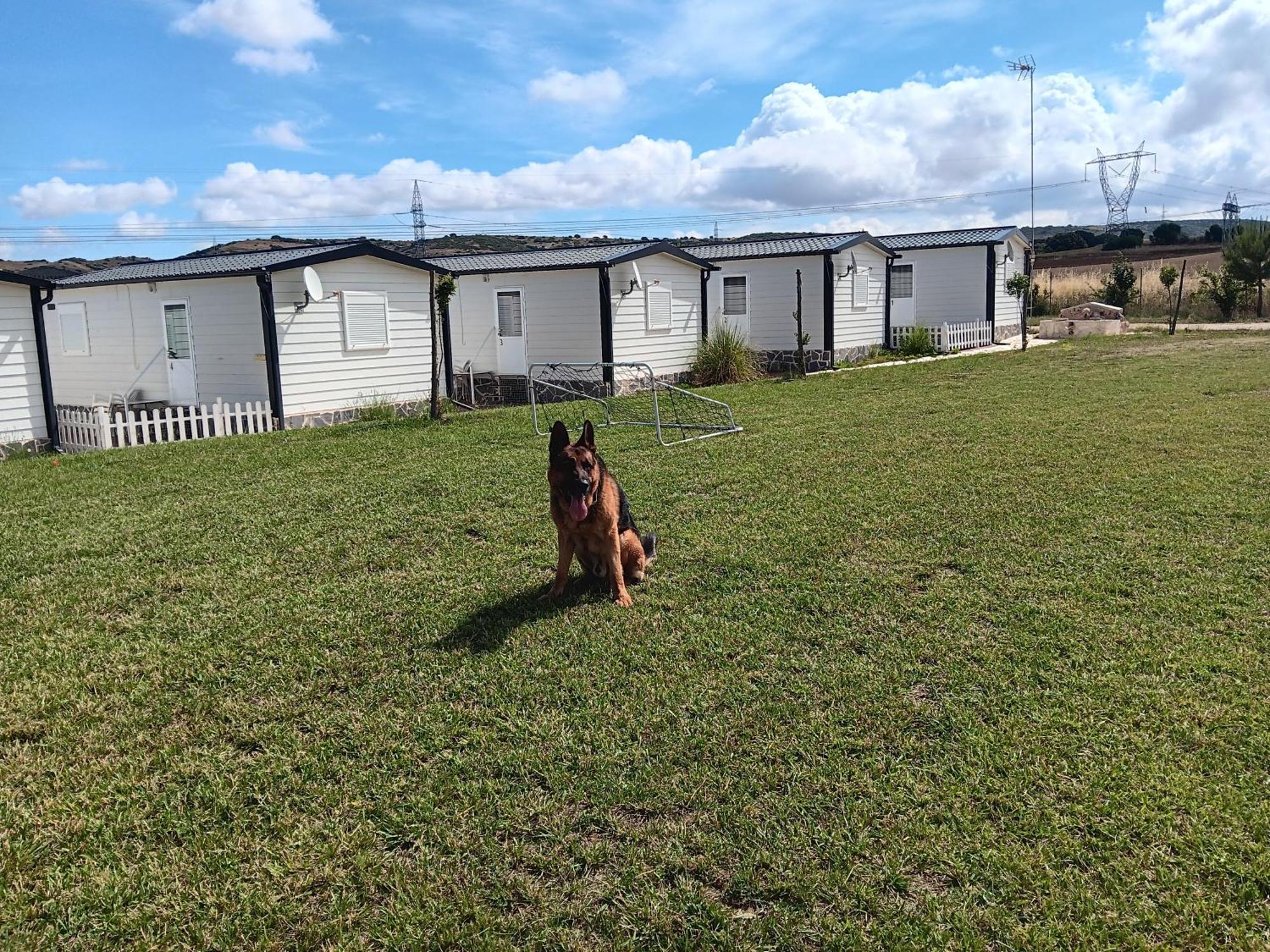 Apartmán Era 124 Zafra de Záncara Exteriér fotografie