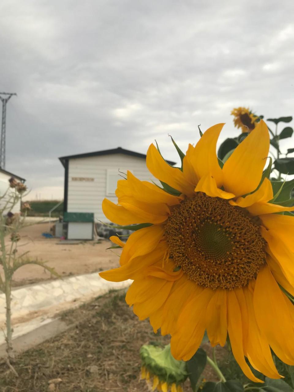 Apartmán Era 124 Zafra de Záncara Exteriér fotografie